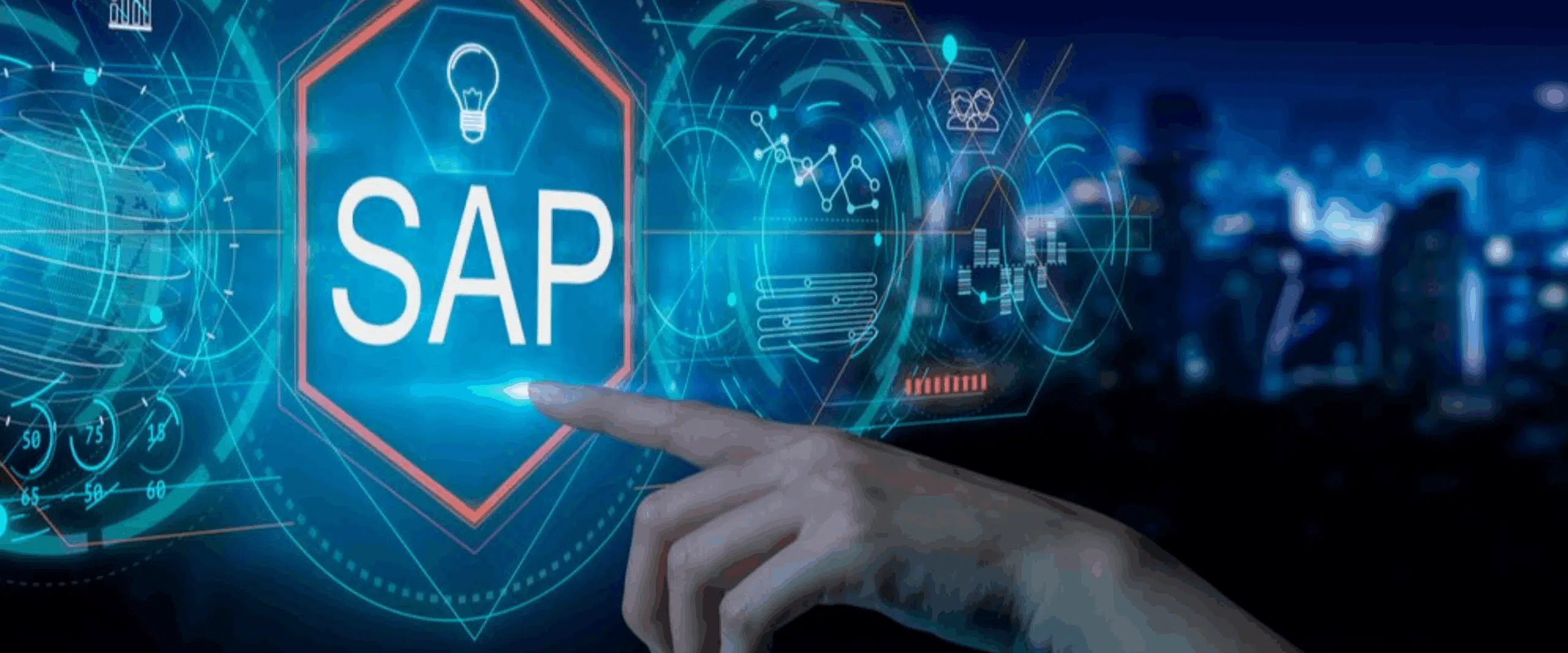 Overview of SAP Suit of Softwares-Denken Solutions