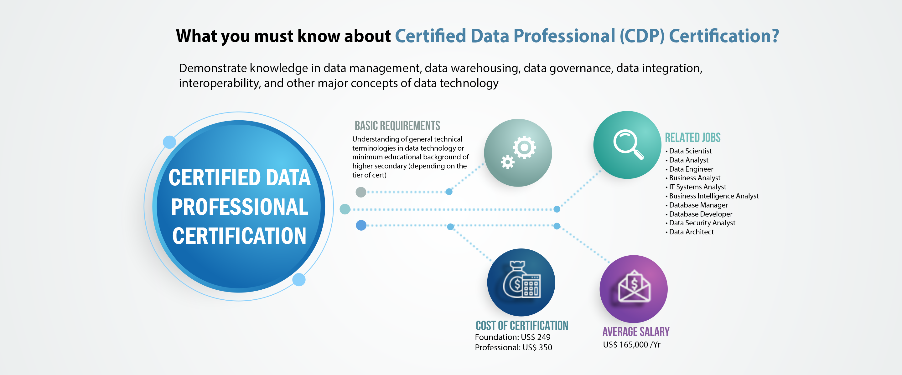 Certified Data Professional Certification- Denken Solutions.