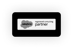 salesforce-partner copy